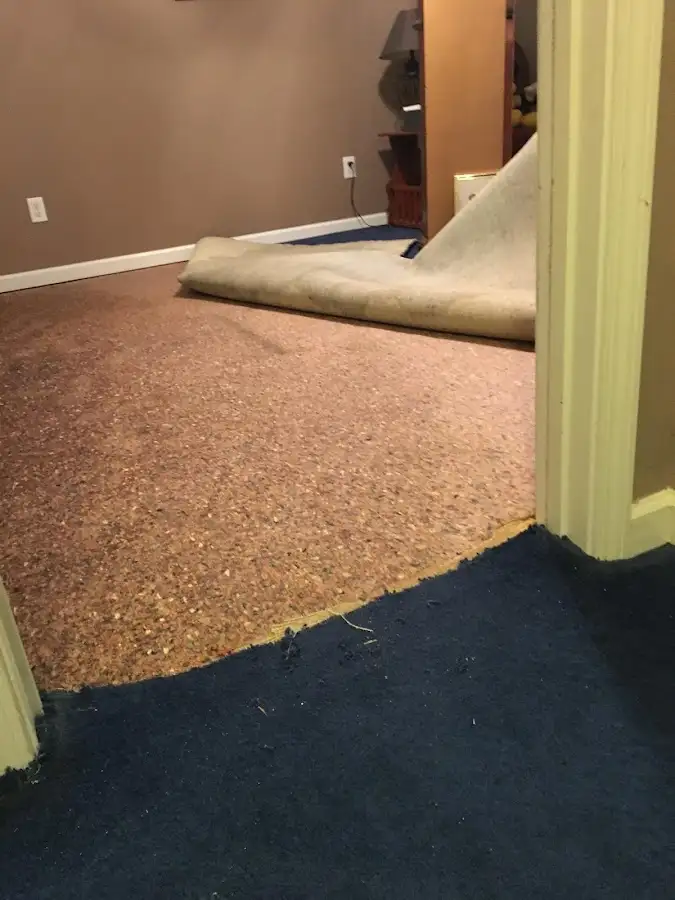 Carpet pad removal revealing water damage during Water Mitigation Services in American Fork