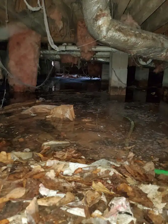 Crawl space flood assessment for Commercial Water Damage Restoration in American Fork